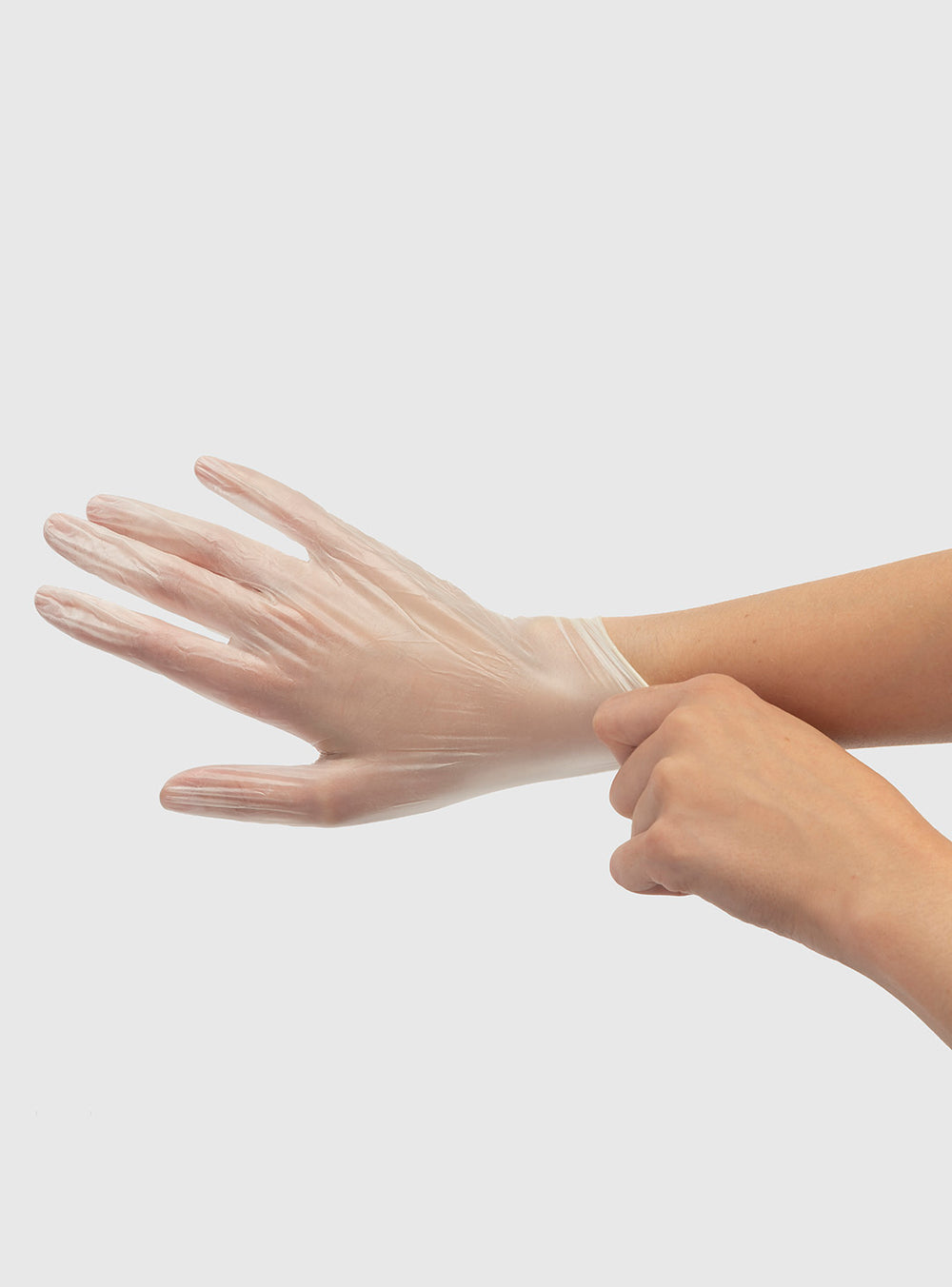 Fromm Vinyl Gloves Clear