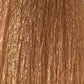 Lisap LK  Permanent Hair Color with Oil Protection Complex