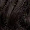 Clairol Beautiful Brown Advanced Gray Solution Semi-Permanent Color