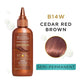 Clairol Beautiful Brown Beautiful Collection Semi-Permanent Color